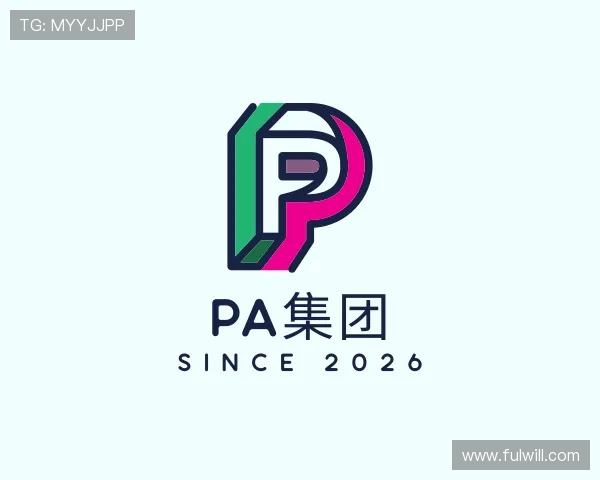 认识PA集团